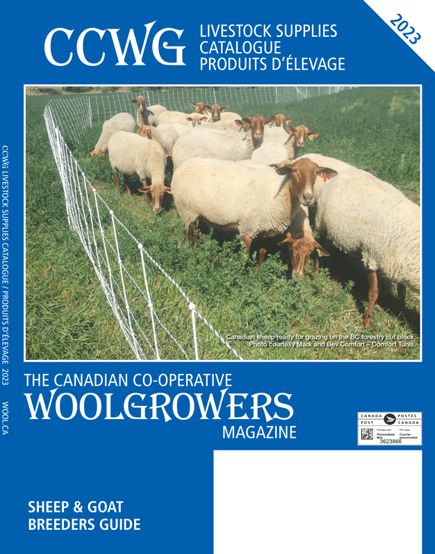 CCWG 2023 magazine cover